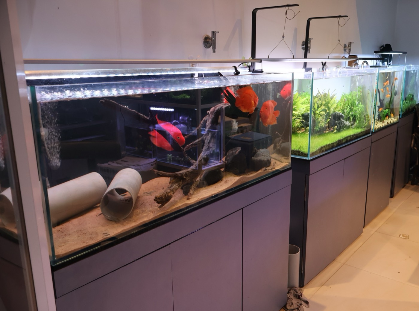Aquarium by Serene Space