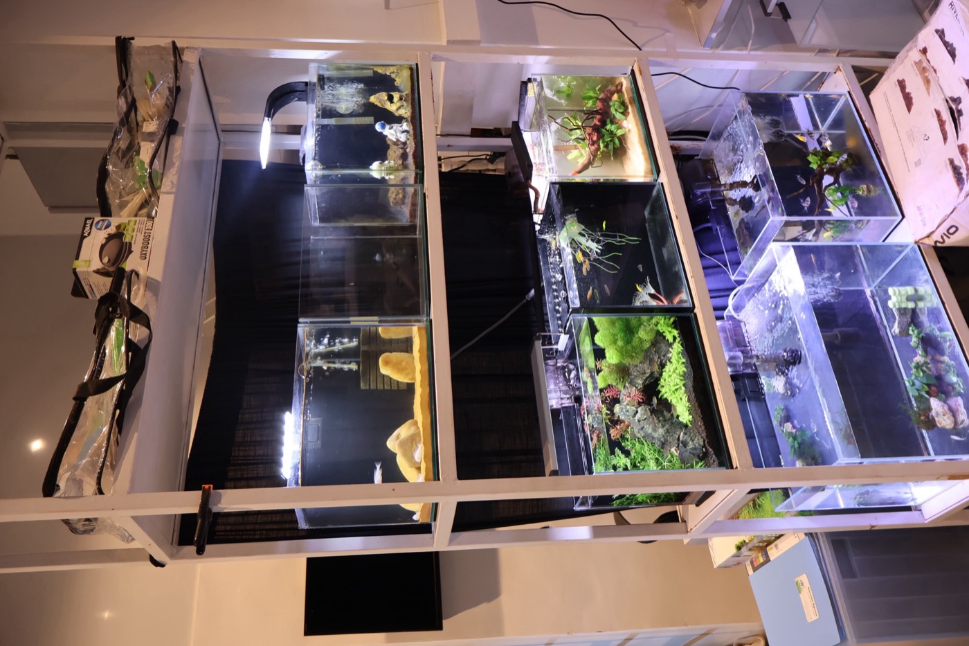 Aquarium by Serene Space