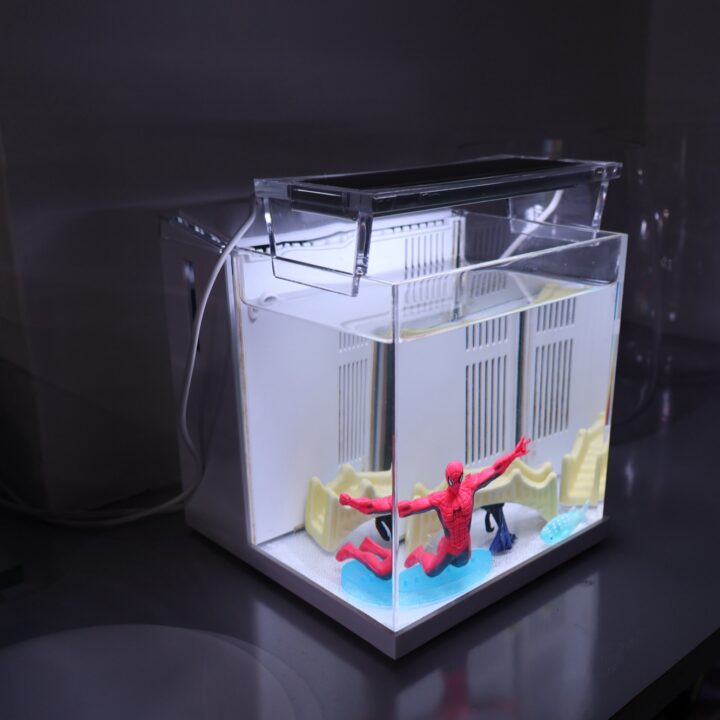 Pebble Aquarium