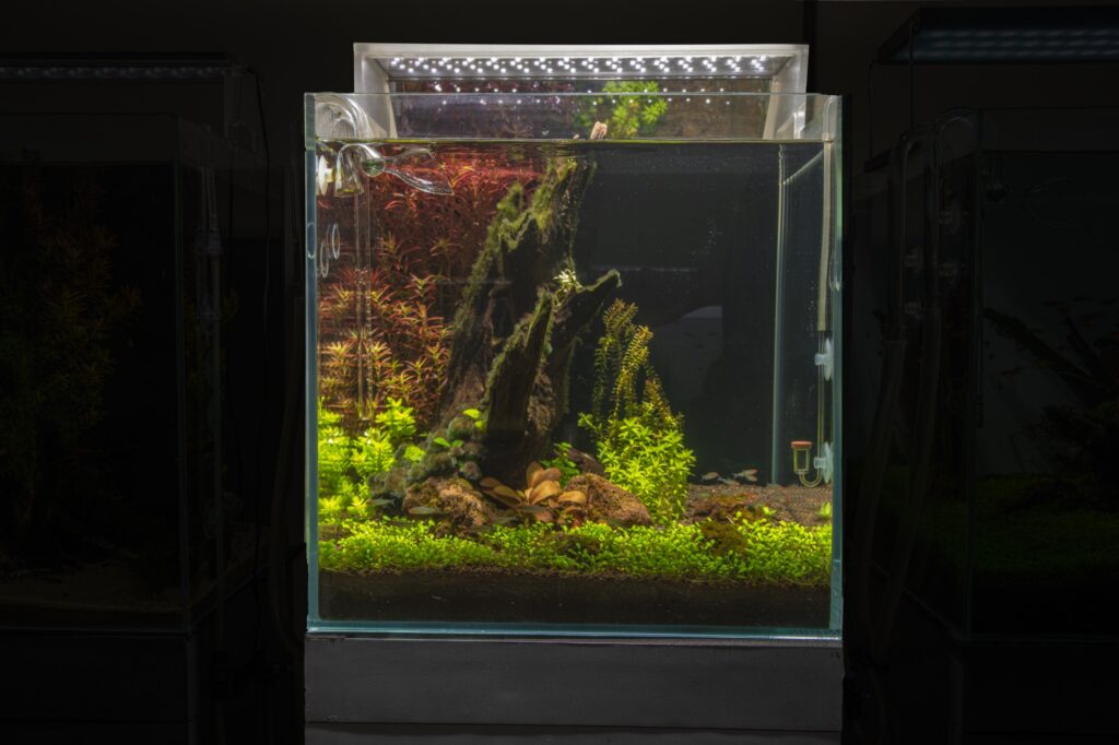 Nano Aquarium