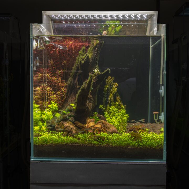 Nano Aquarium